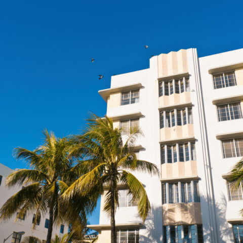 Top 10 Affordable Hotels in Miami Beach for Budget Travelers