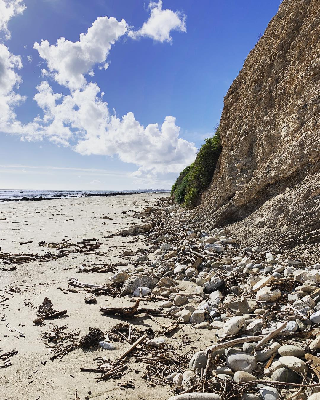 Arroyo Burro County Beach Park