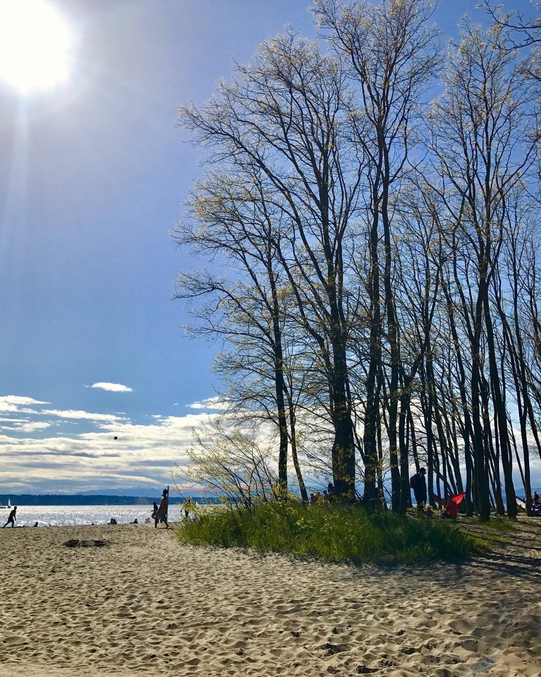 Golden Gardens Park, Washington