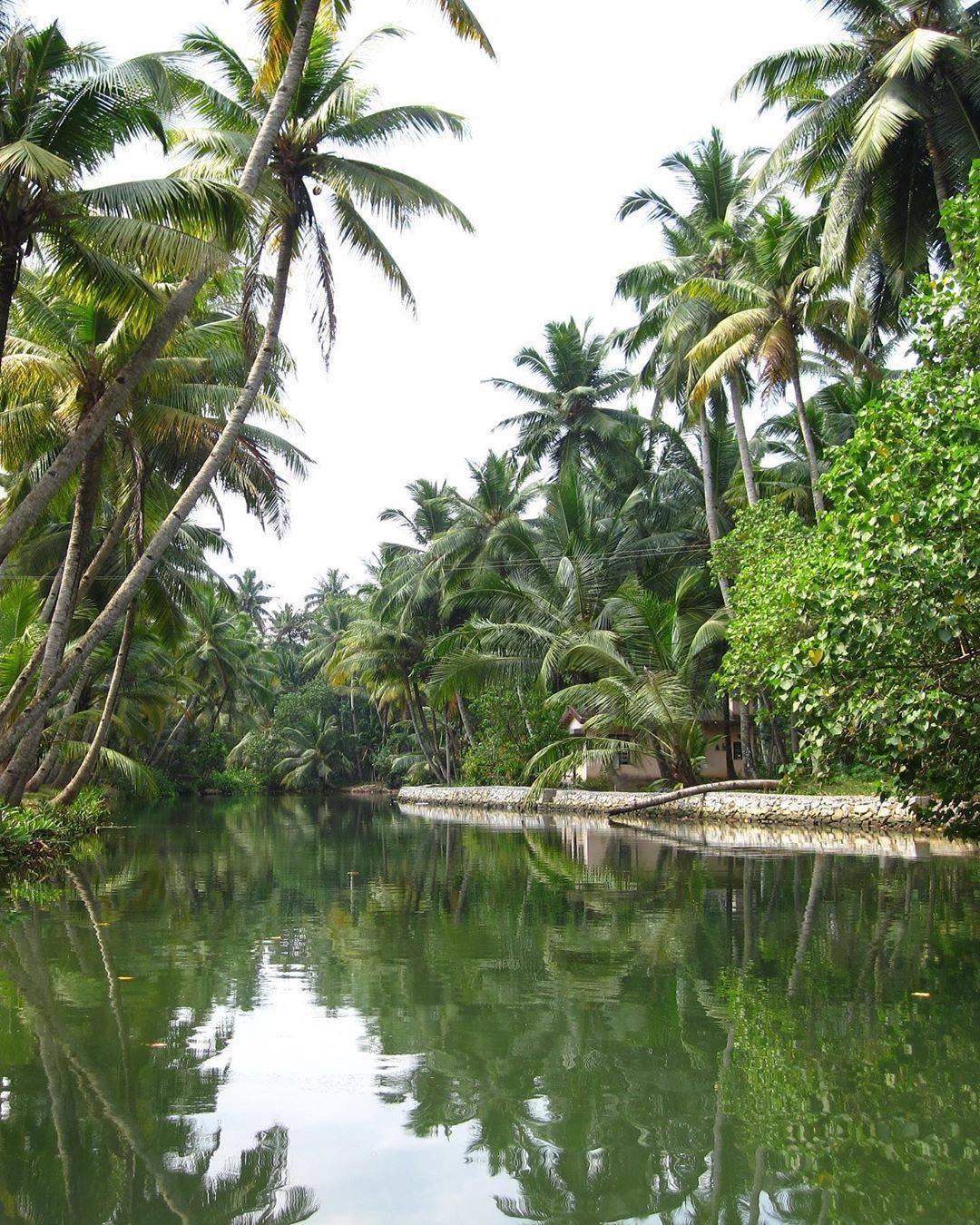 Alleppey, Kerala