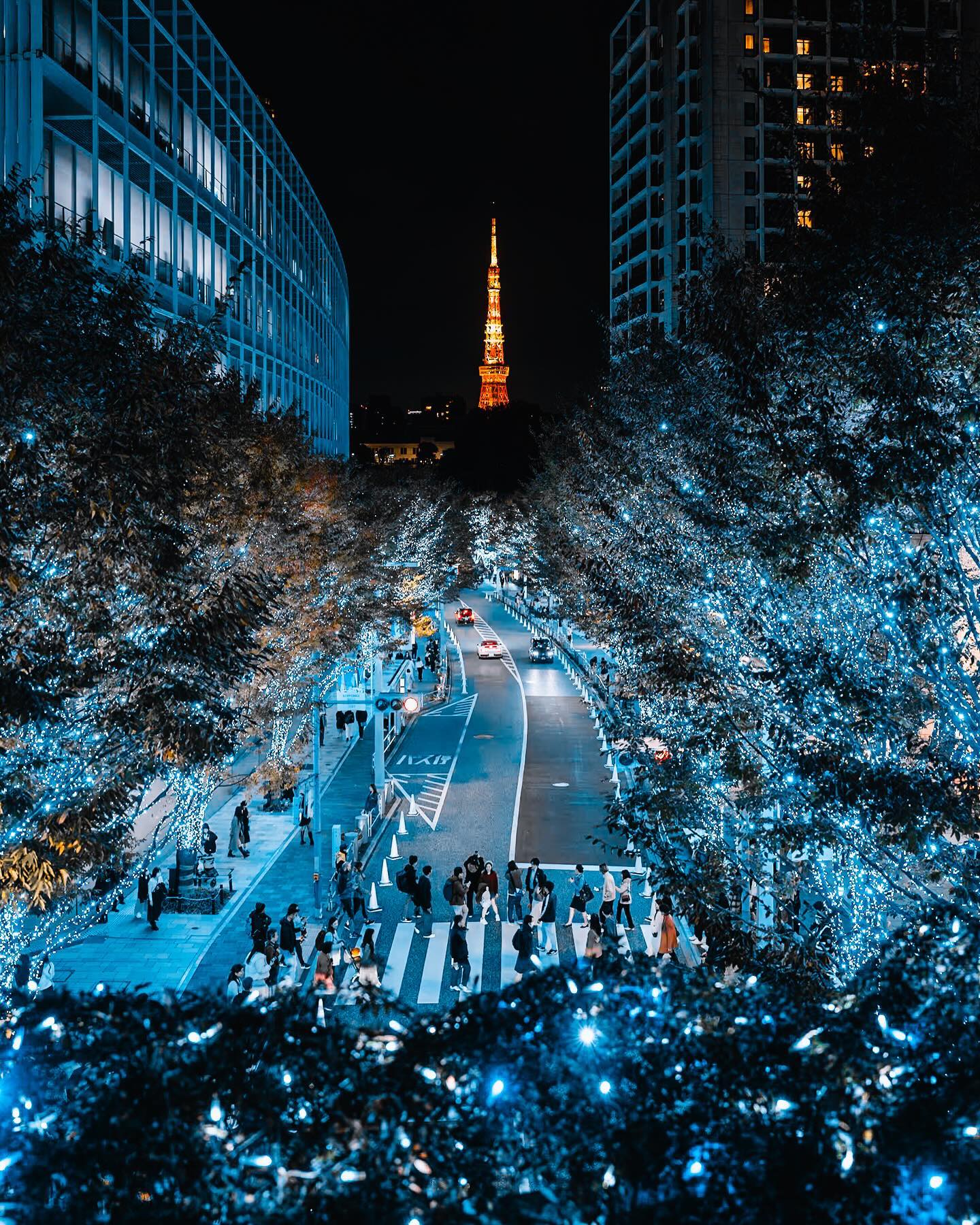 Enjoy Nightlife in Roppongi