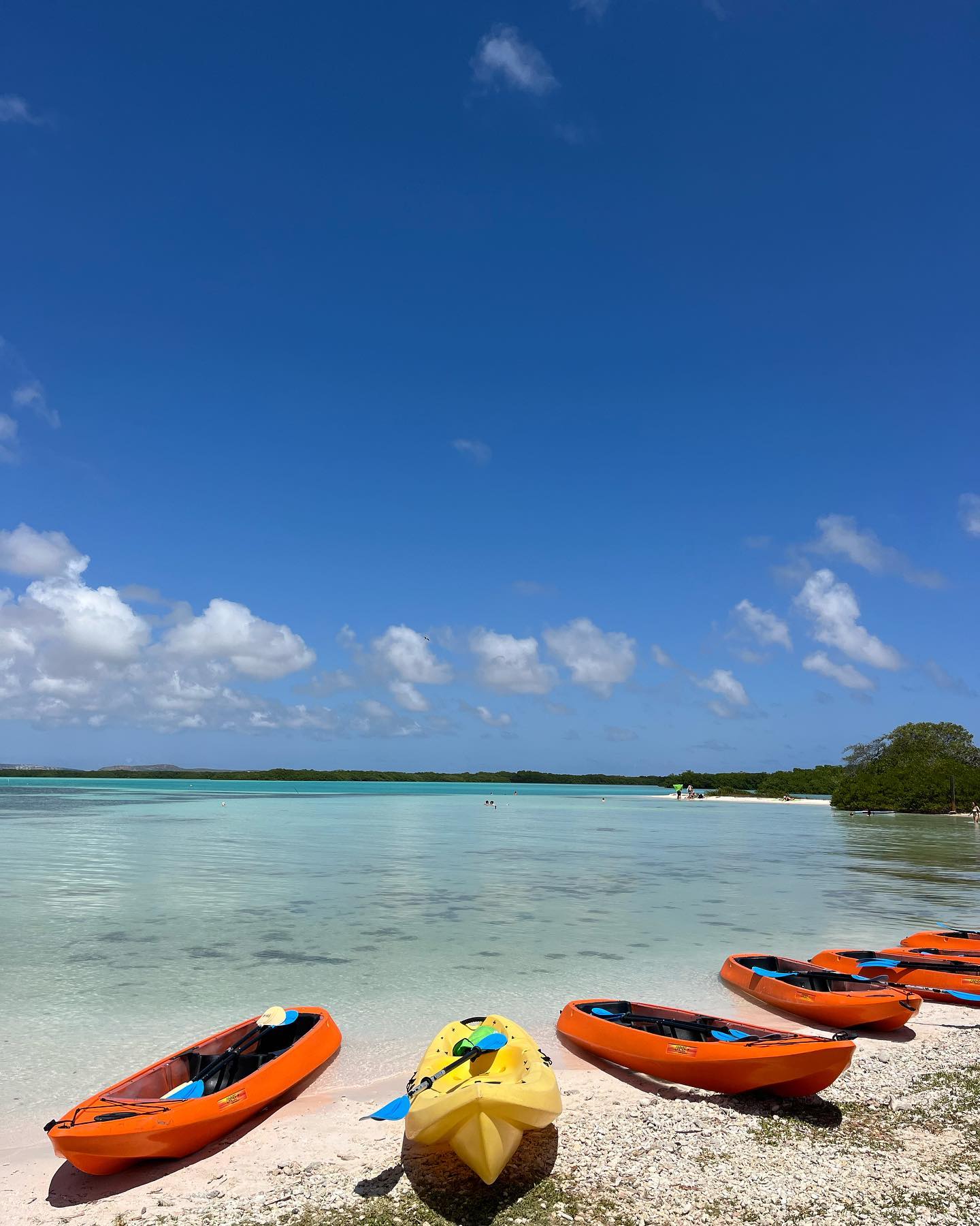 Lac Bay, Bonaire