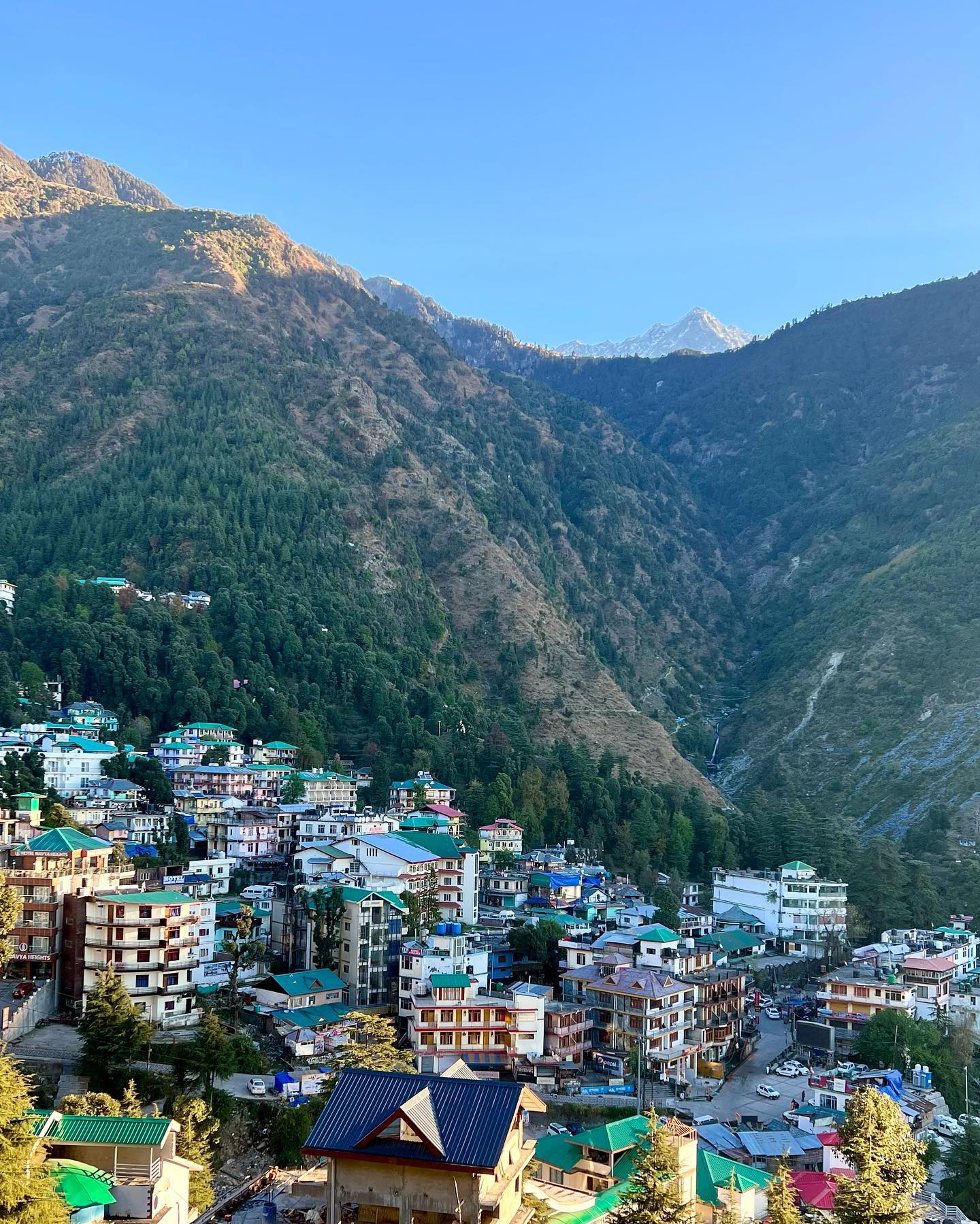 McLeod Ganj, Himachal Pradesh