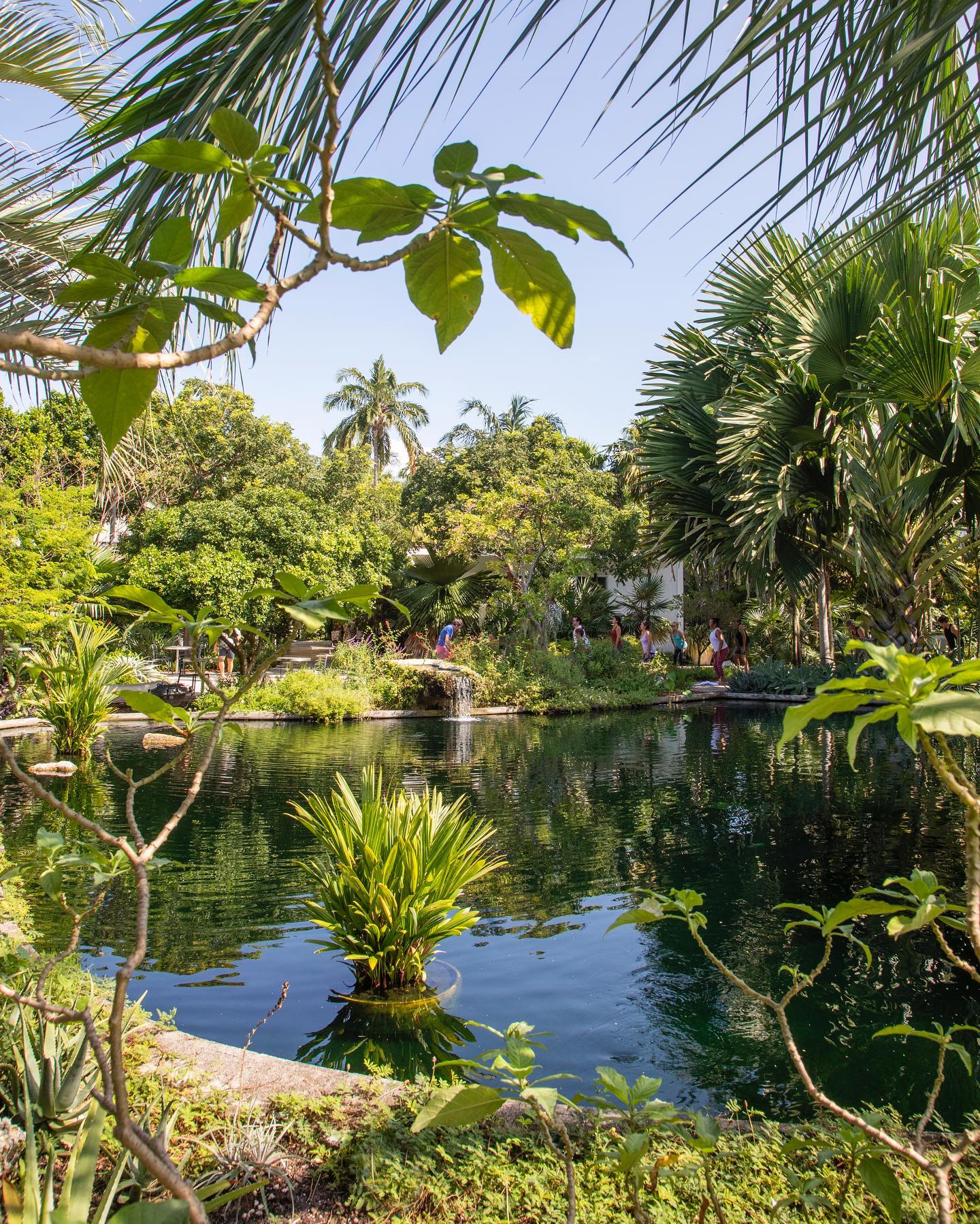 Miami Beach Botanical Garden