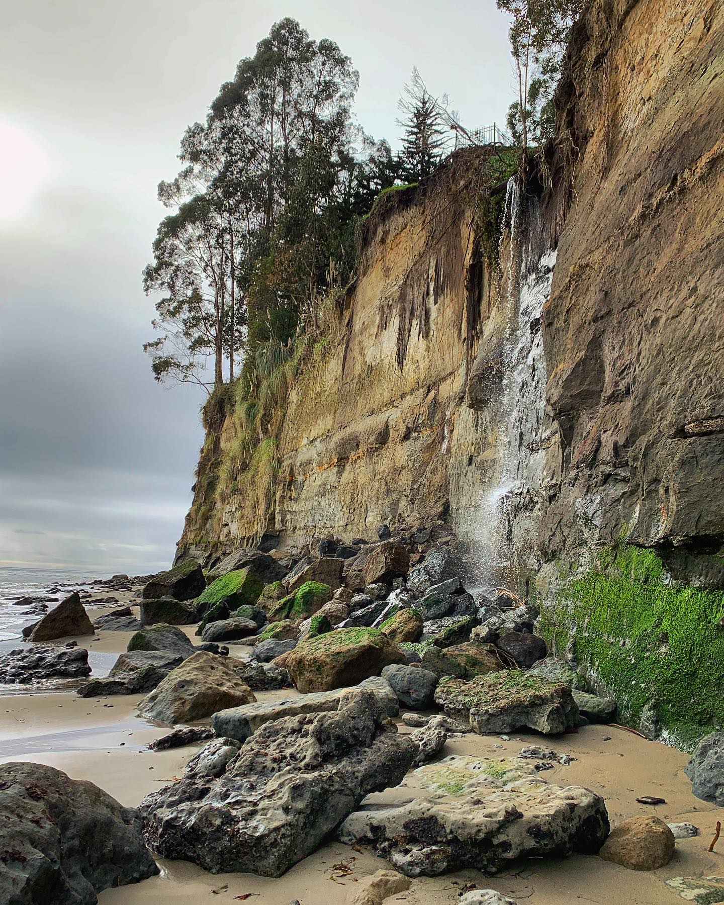 New Brighton State Beach