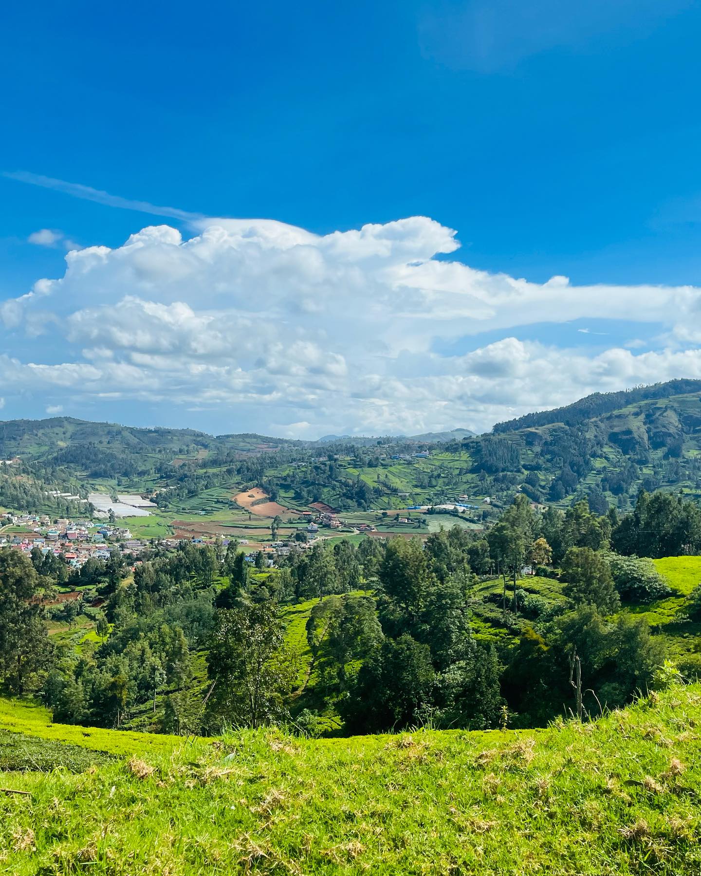 Ooty, Tamil Nadu