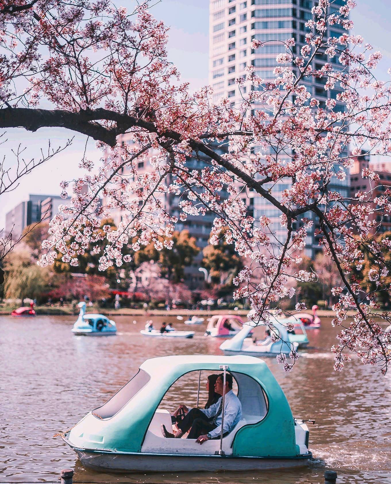 Relax in Ueno Park and Zoo