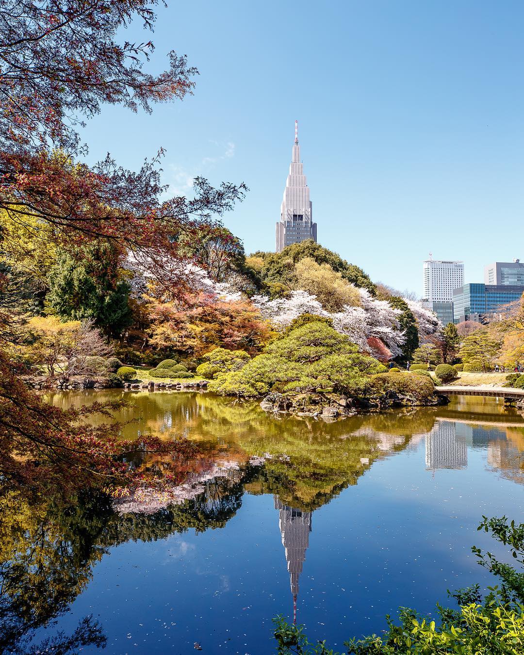 Stroll through Shinjuku Gyoen National Garden