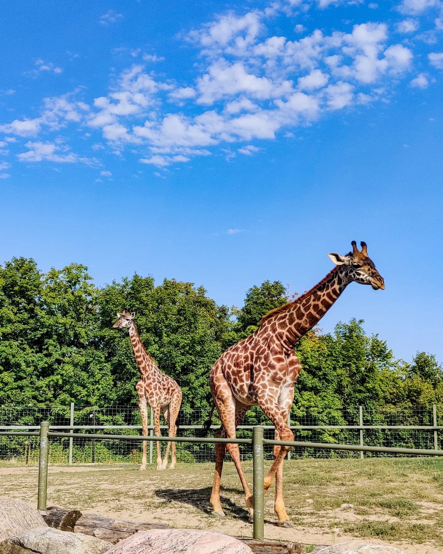 Toronto Zoo