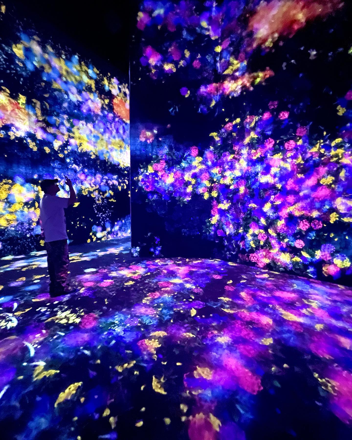 Visit TeamLab Borderless