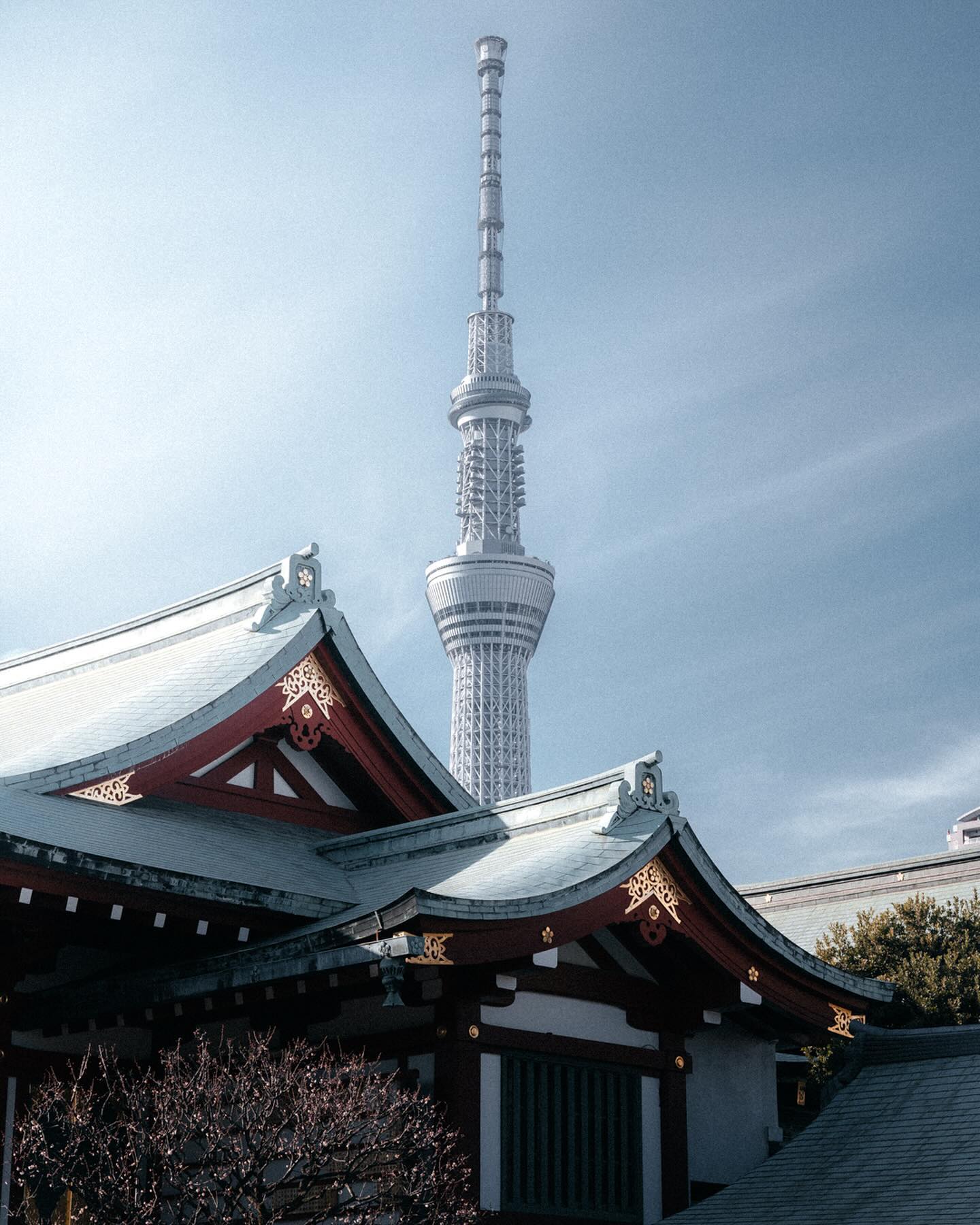 Visit the Tokyo Skytree