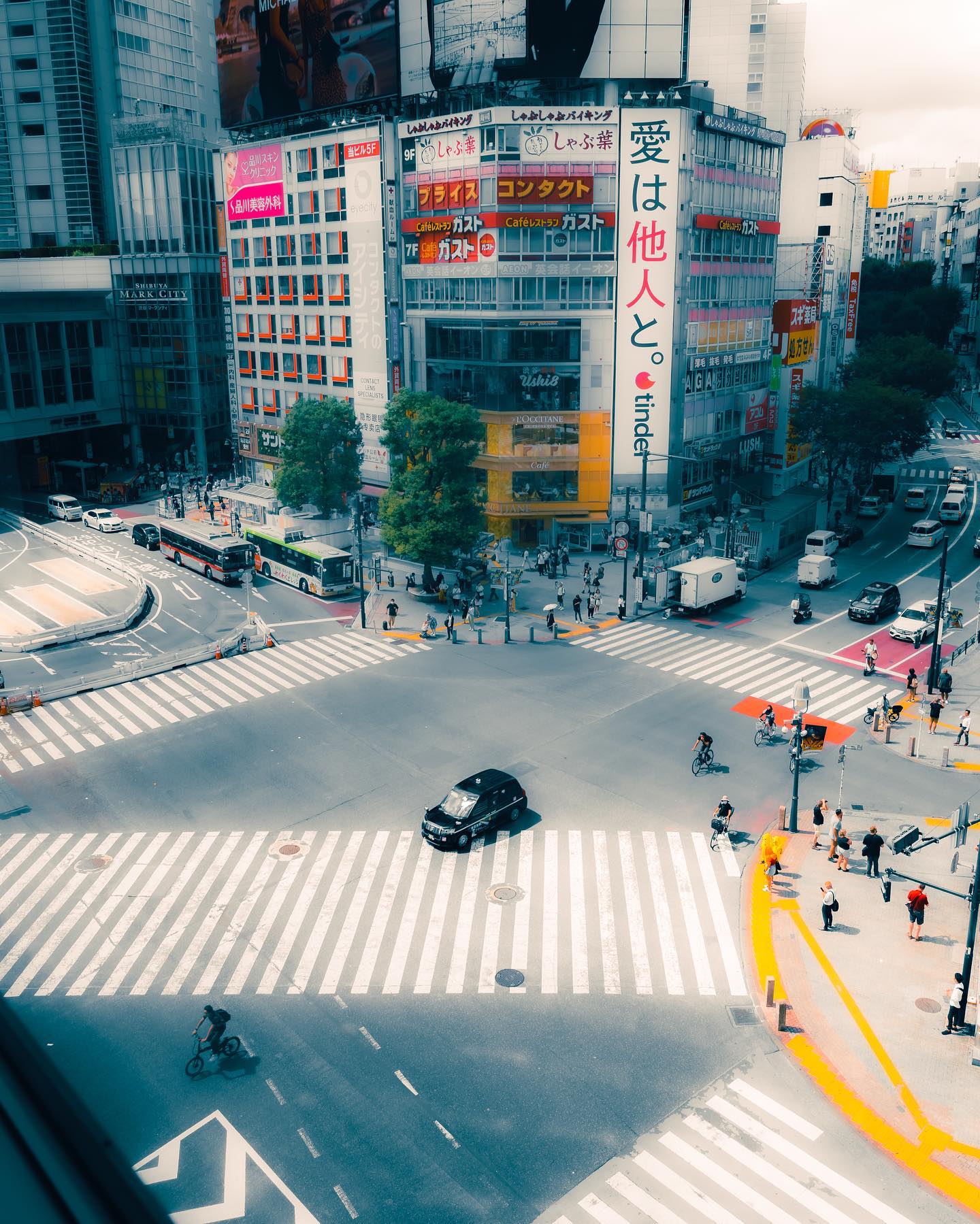 Wander through Shibuya Crossing