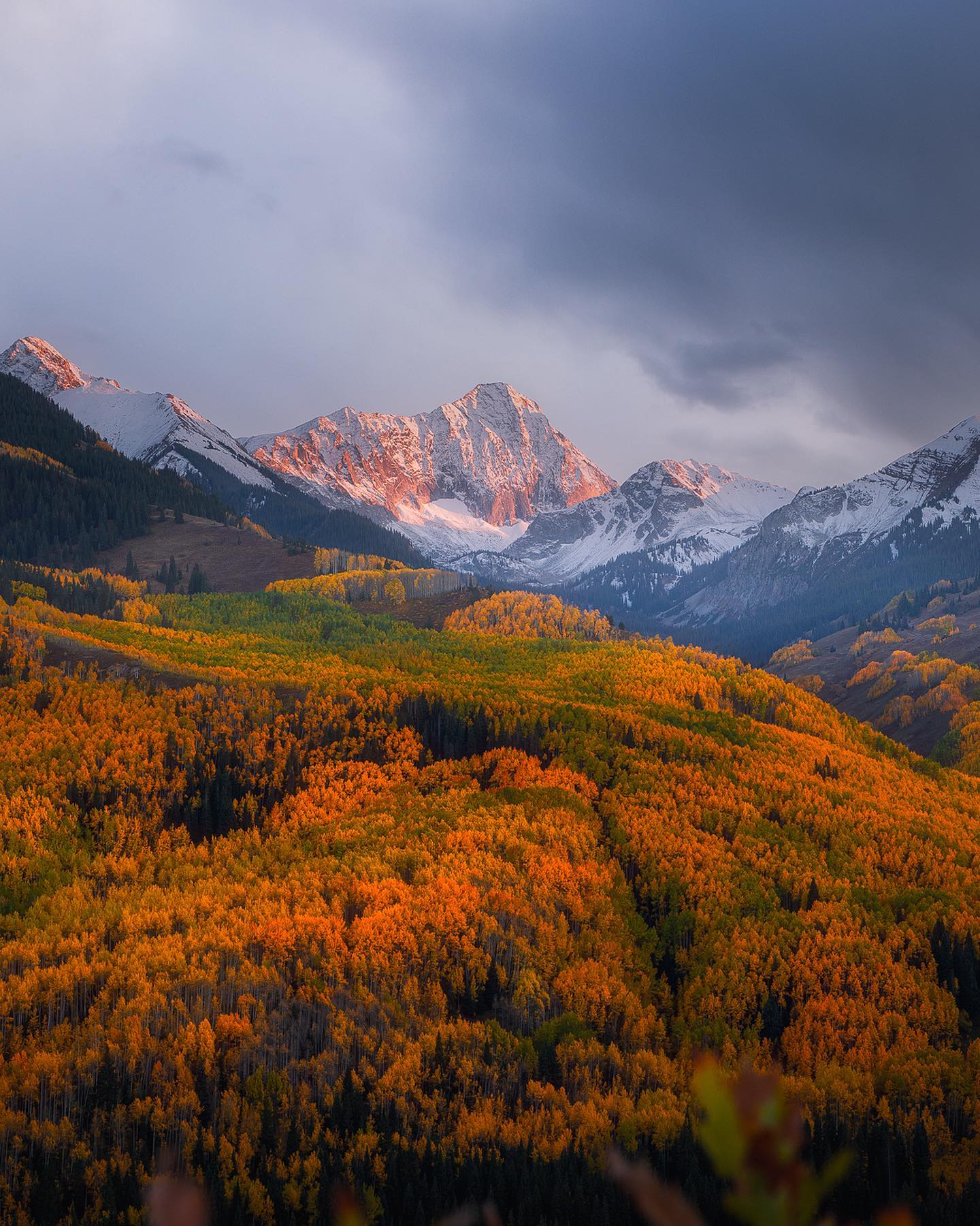 Aspen, Colorado