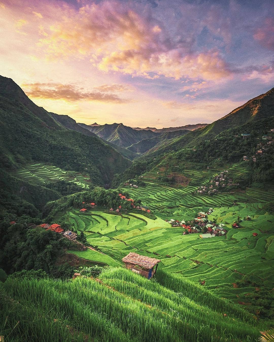 Banaue Rice Terraces