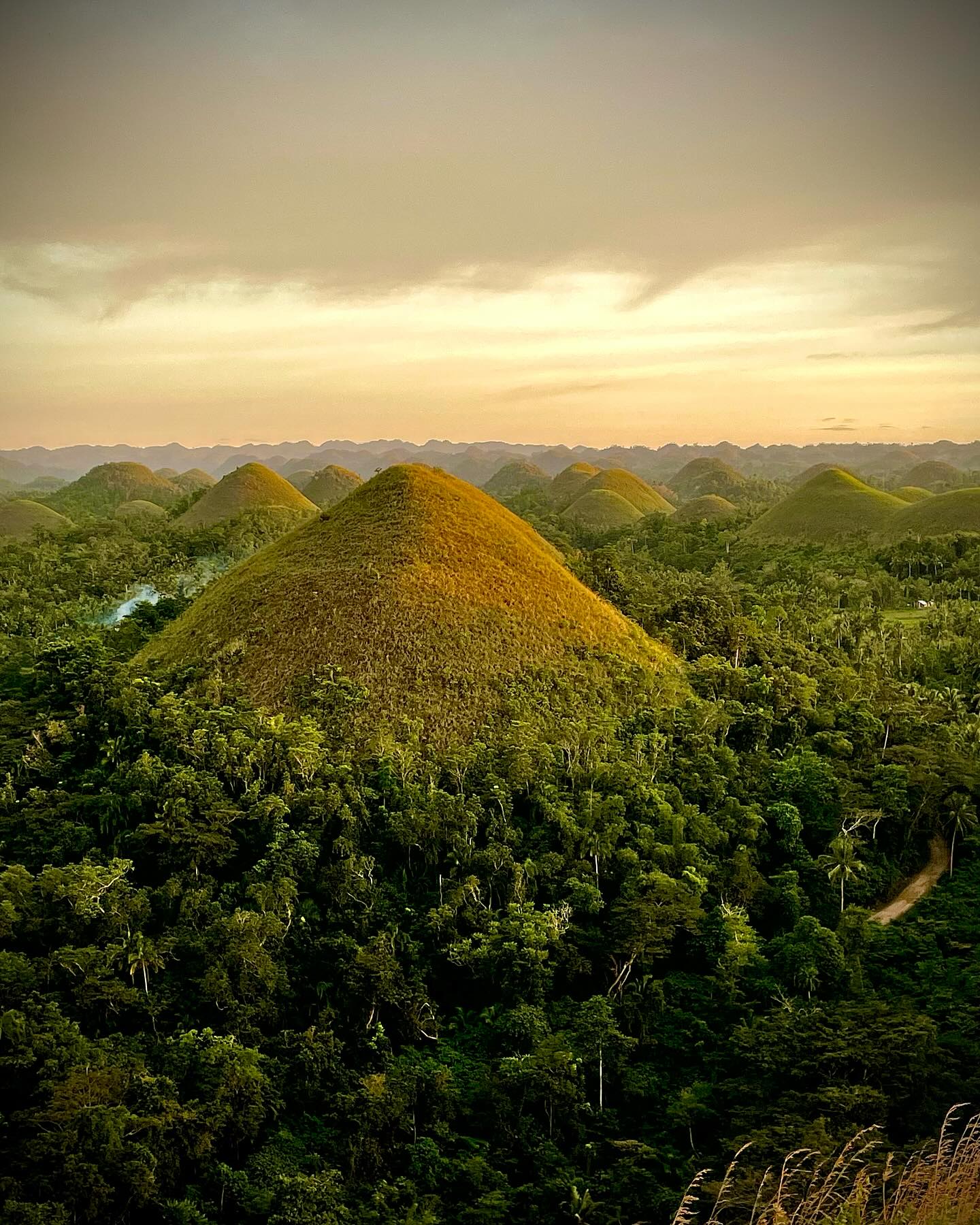 Chocolate Hills in Bohol