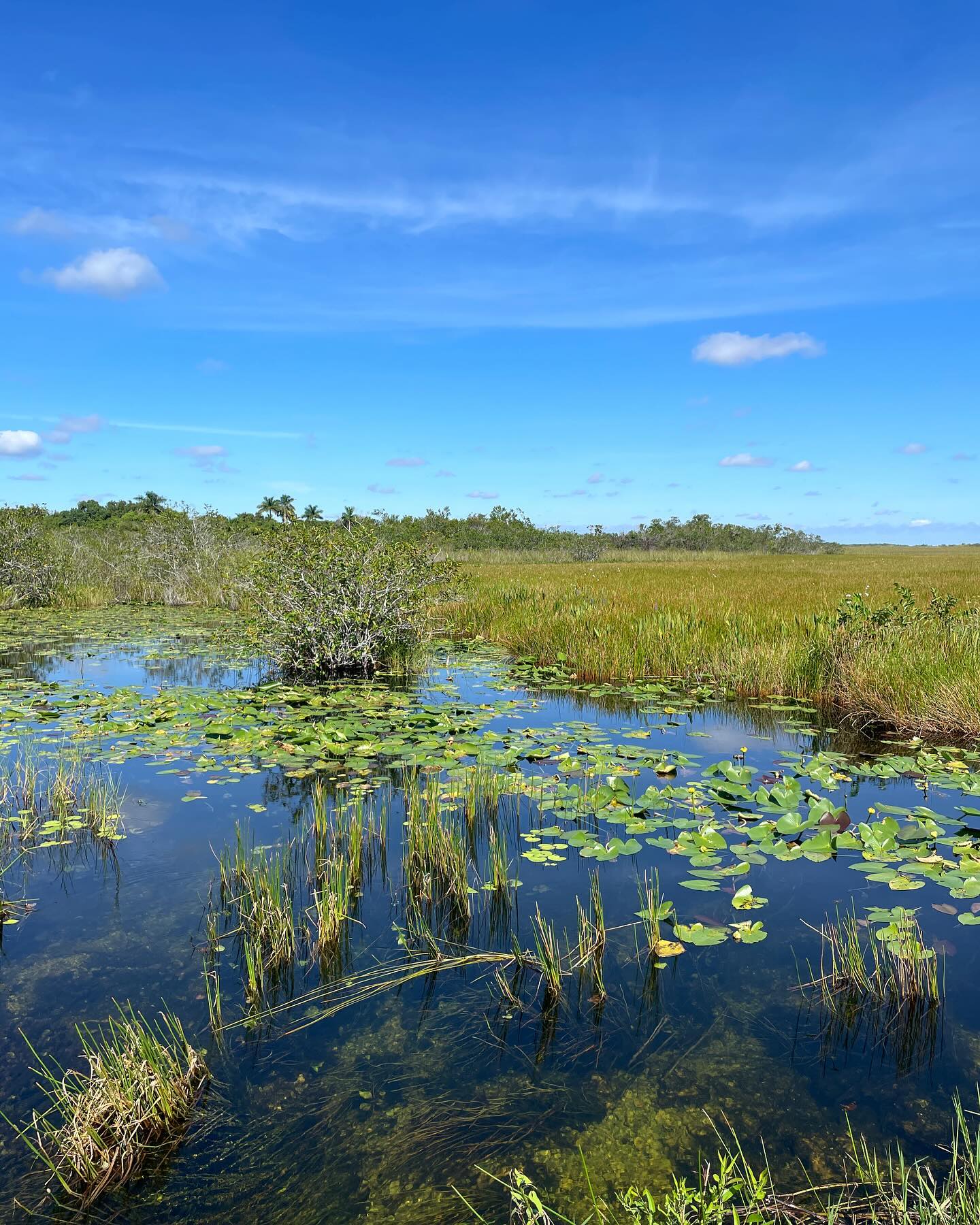 Everglades National Park