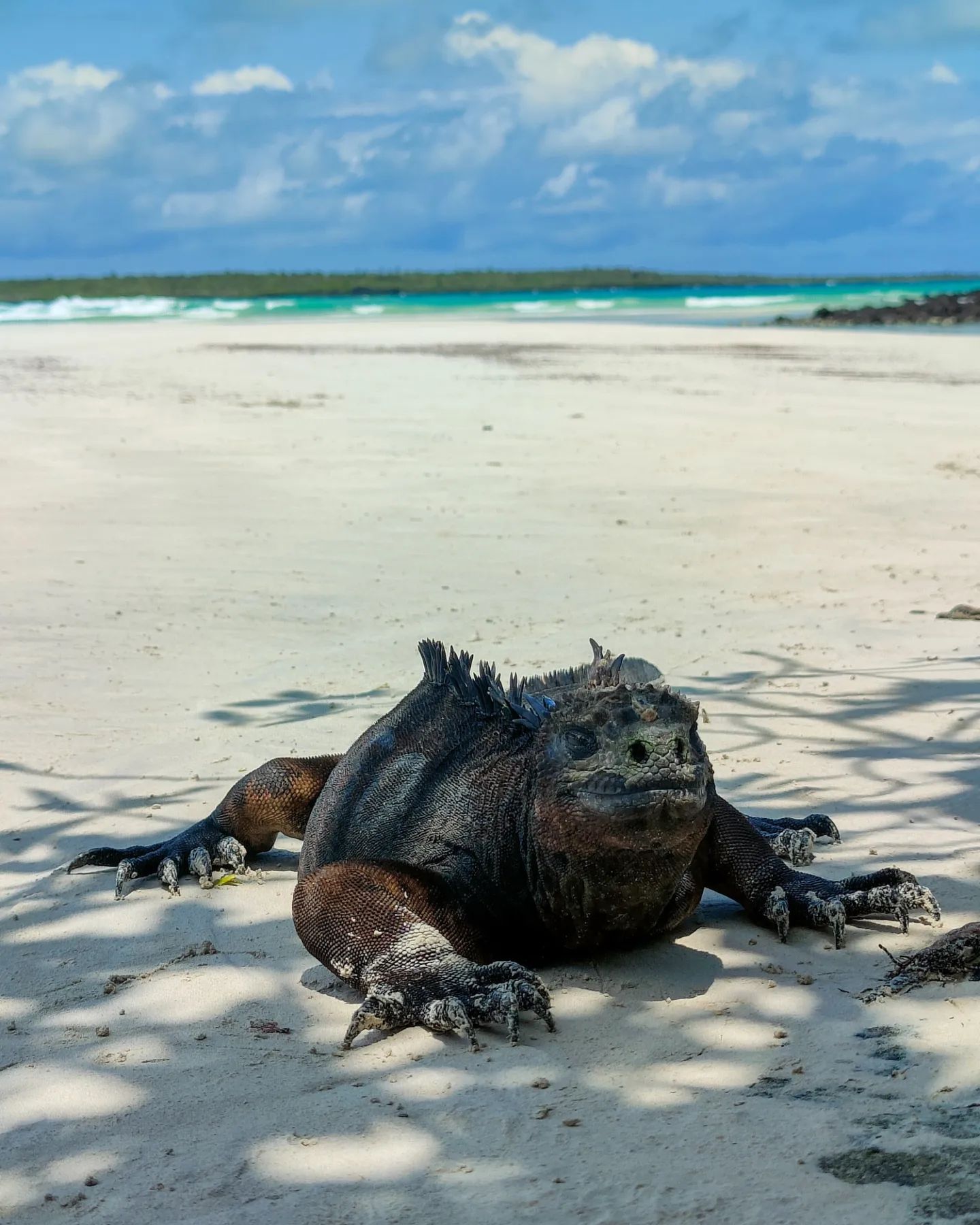 Tortuga Bay, Galapagos Islands, Ecuador