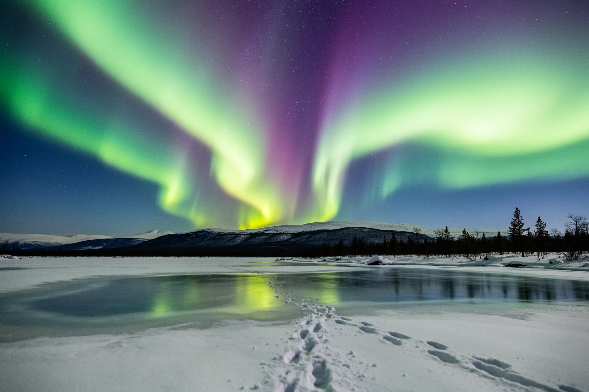 The Northern Lights